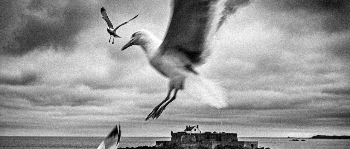 :©Audrey Zaltron