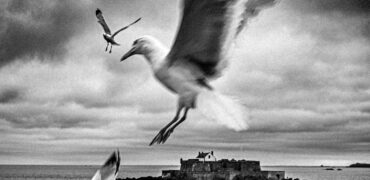:©Audrey Zaltron