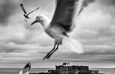:©Audrey Zaltron